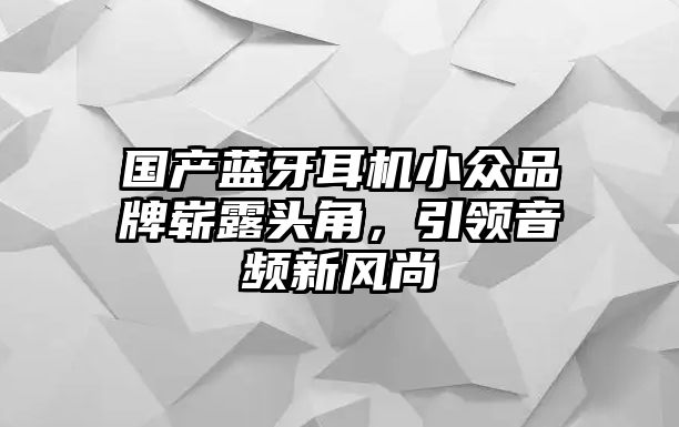 國產(chǎn)藍(lán)牙耳機(jī)小眾品牌嶄露頭角，引領(lǐng)音頻新風(fēng)尚