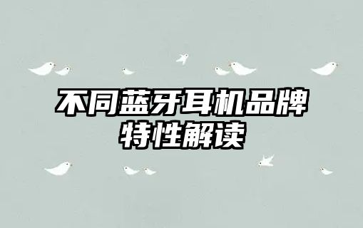 不同藍(lán)牙耳機(jī)品牌特性解讀