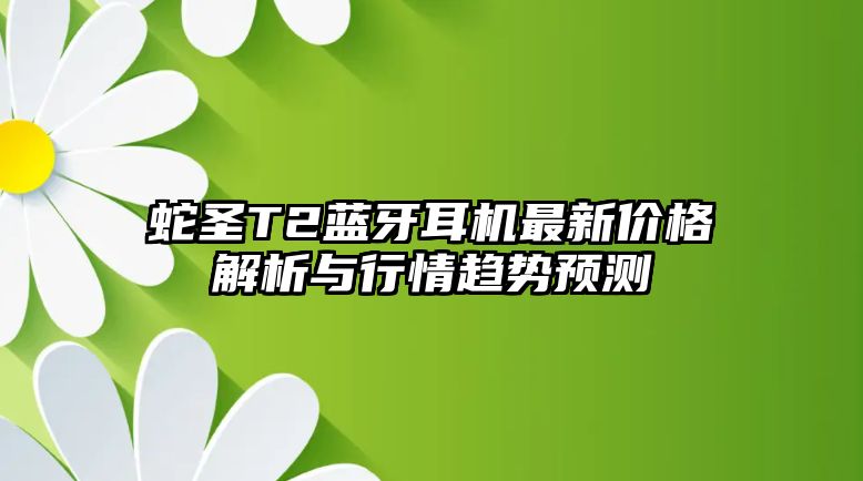 蛇圣T2藍牙耳機最新價格解析與行情趨勢預(yù)測